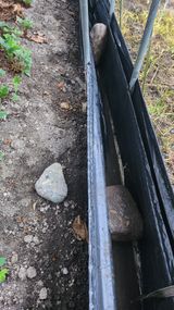 팜모닝 자유주제·자유게시판 게시글 이미지