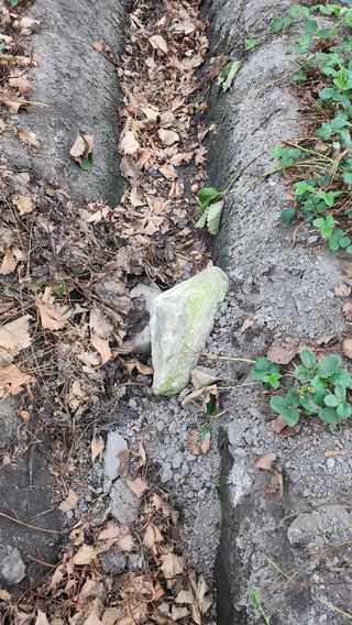 허송범님의 자유주제 · 자유게시판 작성글 사진