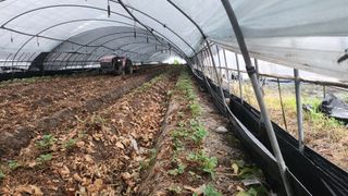 허송범님의 자유주제 · 자유게시판 작성글 사진