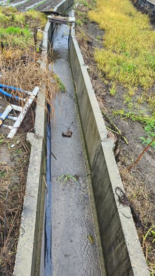 허송범님의 자유주제 · 자유게시판 작성글 사진