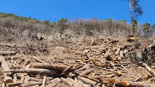 싸리밭골님의 버섯 · 영농일지 작성글 사진