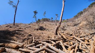 싸리밭골님의 버섯 · 영농일지 작성글 사진