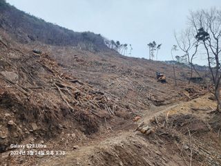 싸리밭골님의 버섯 · 영농일지 작성글 사진