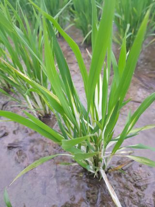 Momo51님의 자유주제 · 자유게시판 작성글 사진