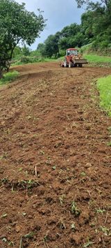 팜모닝 들깨·영농일지 게시글 이미지