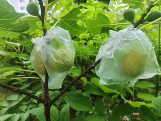 다야님의 자유주제 · 자유게시판 작성글 사진