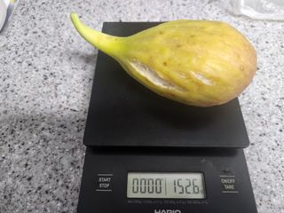 다야님의 자유주제 · 자유게시판 작성글 사진