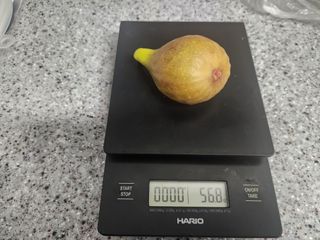 다야님의 자유주제 · 자유게시판 작성글 사진