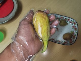 다야님의 자유주제 · 자유게시판 작성글 사진