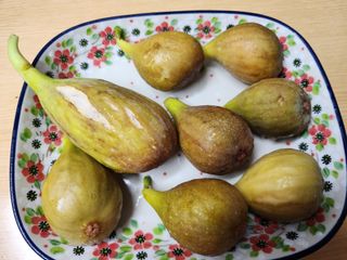 다야님의 자유주제 · 자유게시판 작성글 사진