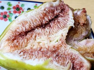 다야님의 자유주제 · 자유게시판 작성글 사진