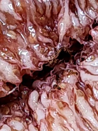 다야님의 자유주제 · 자유게시판 작성글 사진