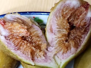 다야님의 자유주제 · 자유게시판 작성글 사진