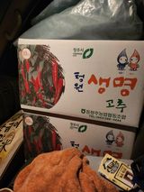 팜모닝 고추·영농일지 게시글 이미지