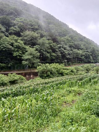 둥이 맘님의 자유주제 · 자유게시판 작성글 사진