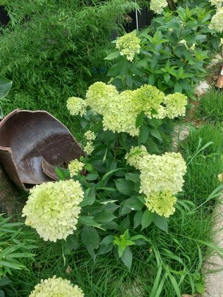 팜모닝회원 최창락 님의 자유주제 · 사진전 작성글 사진