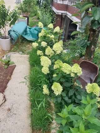 팜모닝회원 최창락 님의 자유주제 · 사진전 작성글 사진