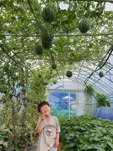 팜모닝 기타작물·병해충상담 게시글 이미지