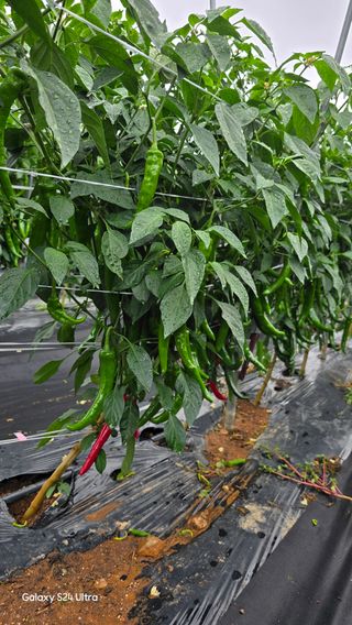 홍성부님의 자유주제 · 자유게시판 작성글 사진