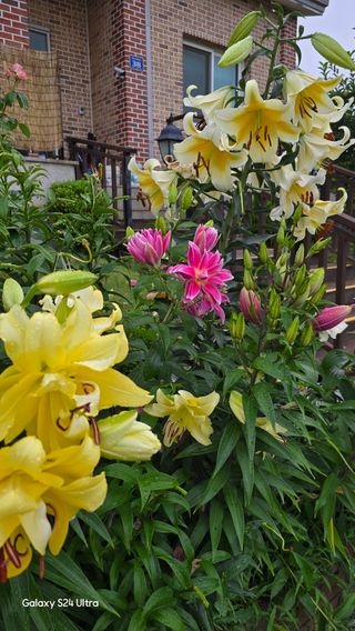 홍성부님의 자유주제 · 자유게시판 작성글 사진