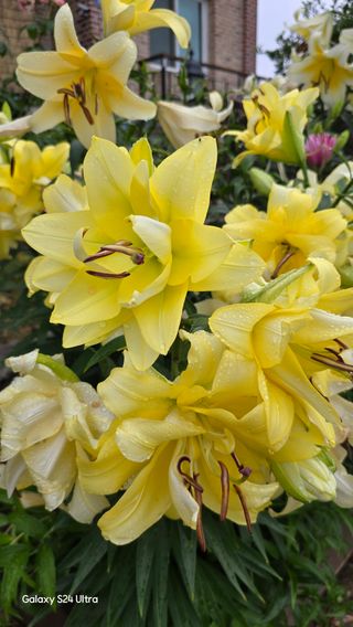 홍성부님의 자유주제 · 자유게시판 작성글 사진