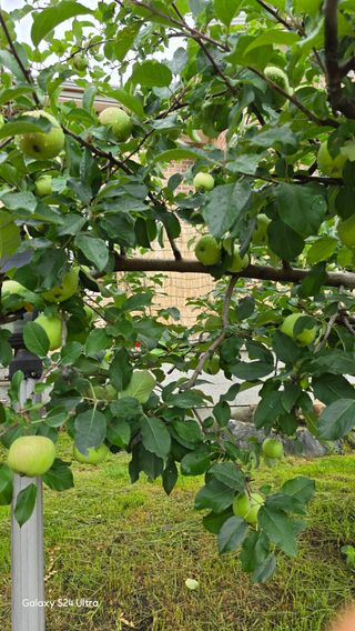 홍성부님의 자유주제 · 자유게시판 작성글 사진