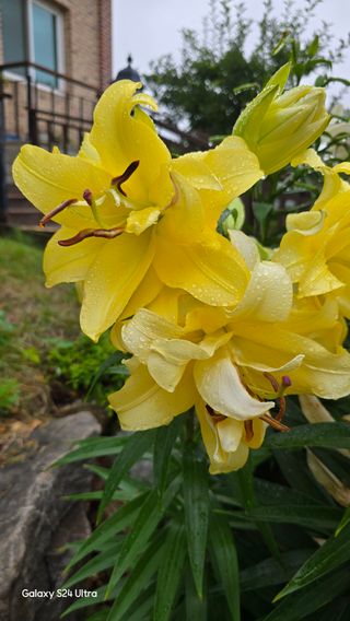 홍성부님의 자유주제 · 자유게시판 작성글 사진