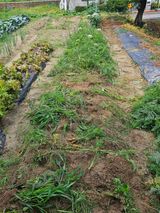 팜모닝 기타작물·영농일지 게시글 이미지