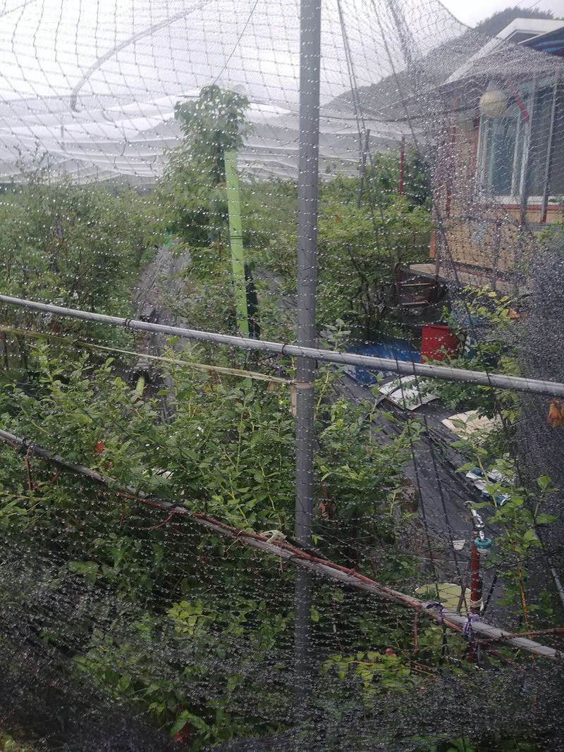 장터 상품 [강력 방조망 판매 ] 썸네일