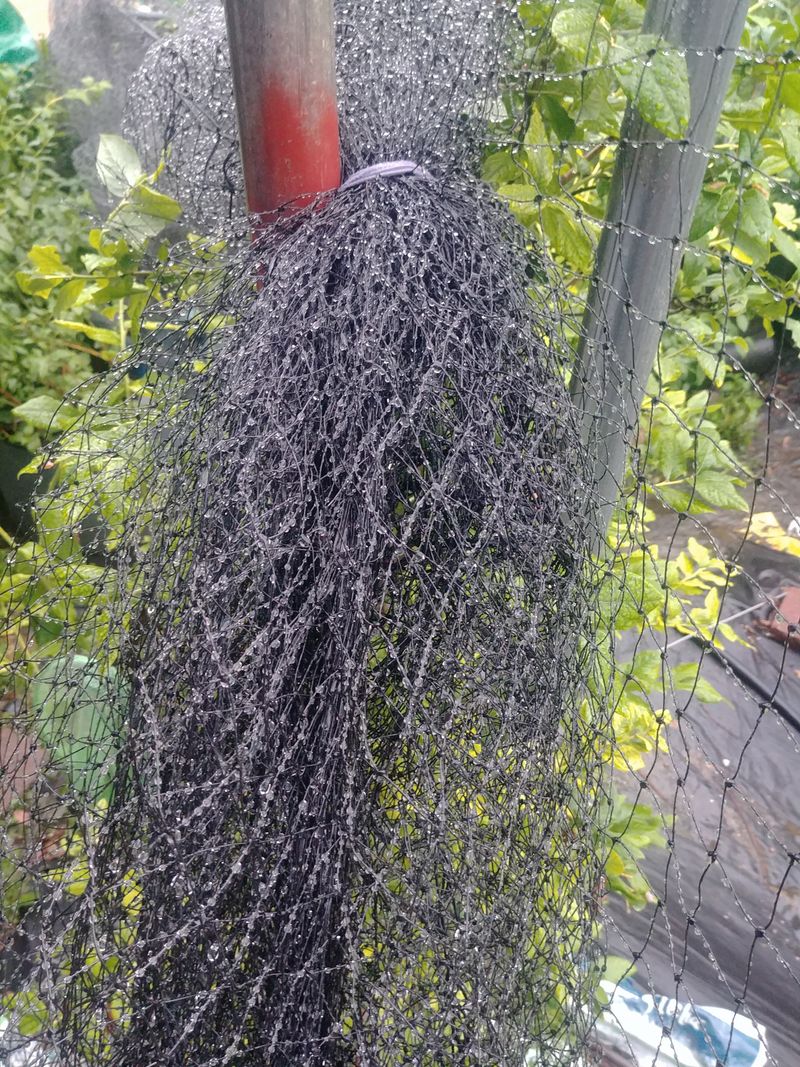 달방농원님의 장터 판매 상품 [강력 방조망 판매 ] 첨부 사진