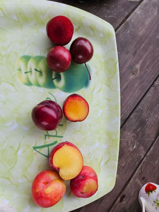 최선희님의 자유주제 · 자유게시판 작성글 사진