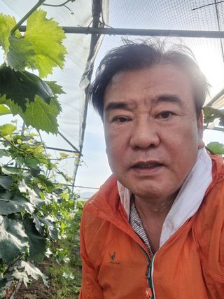 노강님의 포도 · 영농일지 작성글 사진