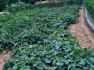 늘항상한결님의 자유주제 · 자유게시판 작성글 사진