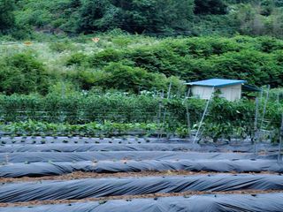 늘항상한결님의 자유주제 · 자유게시판 작성글 사진