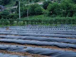 늘항상한결님의 자유주제 · 자유게시판 작성글 사진