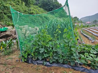 늘항상한결님의 자유주제 · 자유게시판 작성글 사진