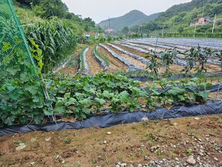 늘항상한결님의 자유주제 · 자유게시판 작성글 사진