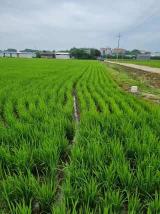 정성도님의 최고의 제초제는 무엇인가요?🌿 · 참여글 작성글 사진