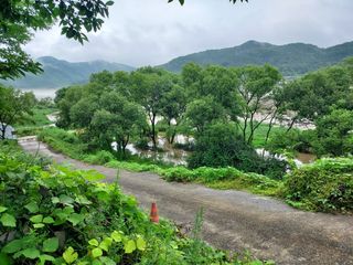 장거장님의 최고의 제초제는 무엇인가요?🌿 · 참여글 작성글 사진