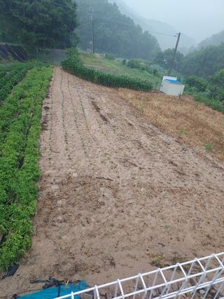 장거장님의 최고의 제초제는 무엇인가요?🌿 · 참여글 작성글 사진