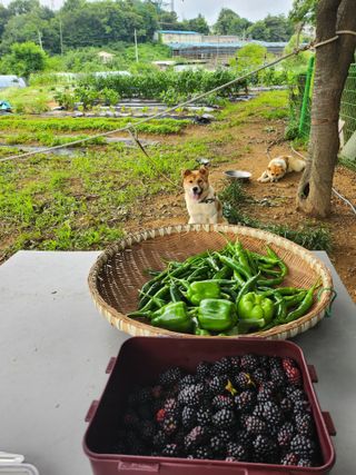최재원 님의 자유주제 · 자유게시판 작성글 사진