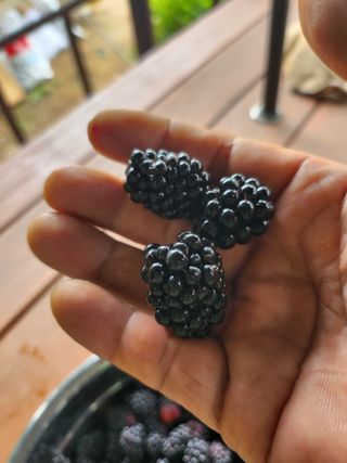 최재원 님의 자유주제 · 자유게시판 작성글 사진