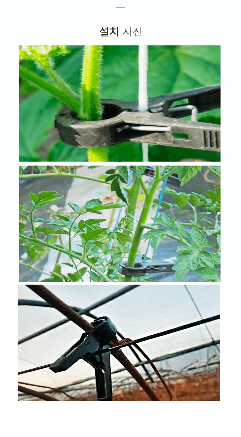 청년농자재님의 장터 판매 상품 [국내생산 유인 집게 작물 줄기 집게 ] 첨부 사진