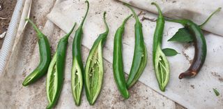 박선화님의 자유주제 · 자유게시판 작성글 사진