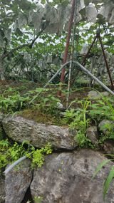 팜모닝 🎉상반기 결산 자랑하기·참여글 게시글 이미지