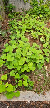 팜모닝 자유주제·자유게시판 게시글 이미지