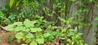 풀향기꽂향기님의 자유주제 · 자유게시판 작성글 사진