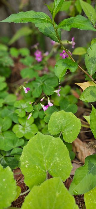 풀향기꽂향기님의 자유주제 · 자유게시판 작성글 사진