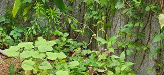 풀향기꽂향기님의 자유주제 · 자유게시판 작성글 사진