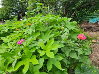 청산거사님의 🎉상반기 결산 자랑하기 · 참여글 작성글 사진